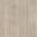 LVT Wood (DW2221)