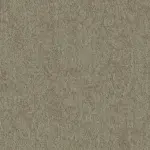 Broken Clay (Woods)